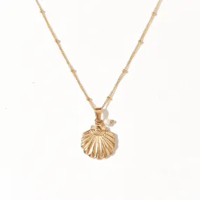 Sea Scallop Necklace