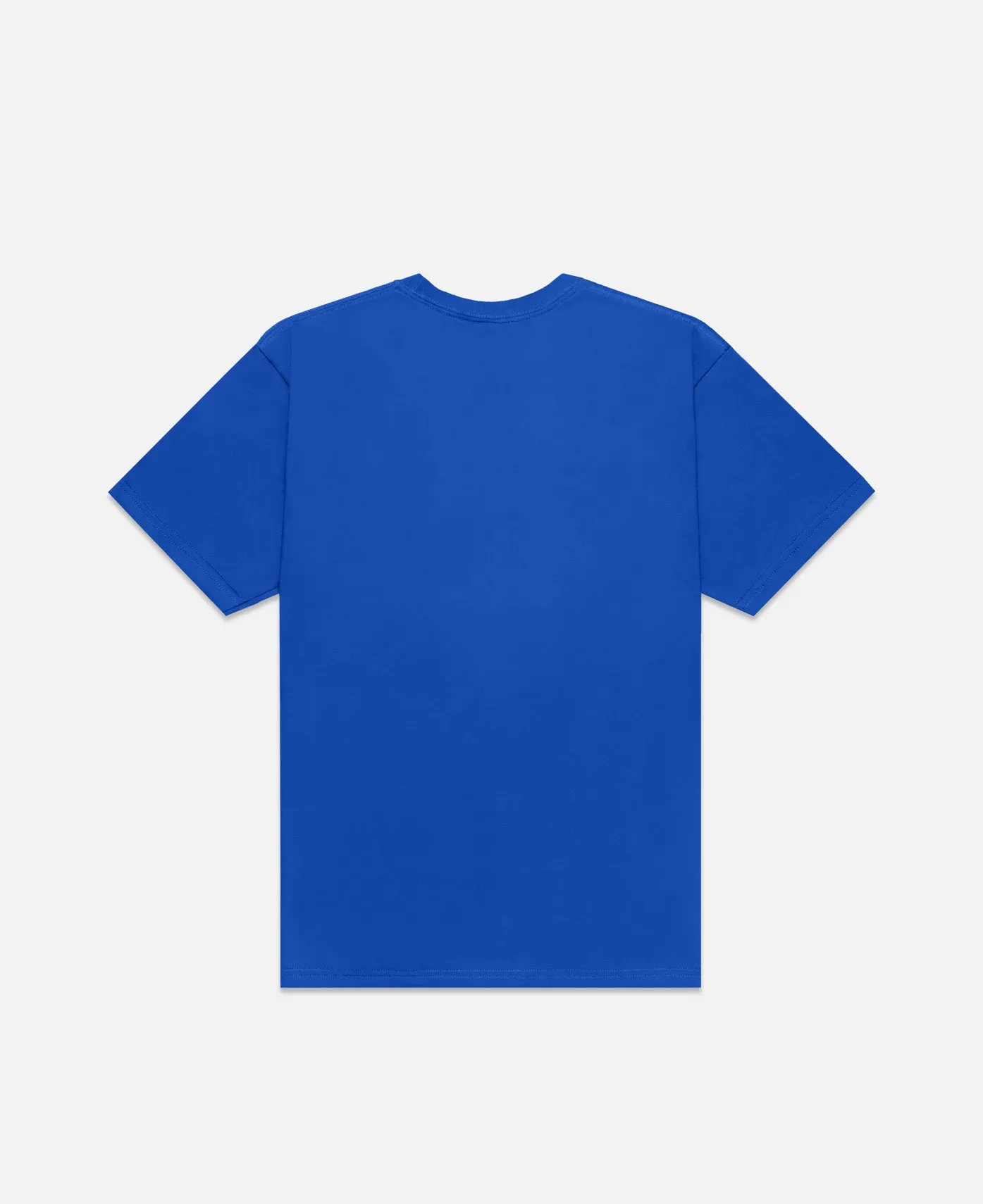 Waste T-Shirt (Blue)