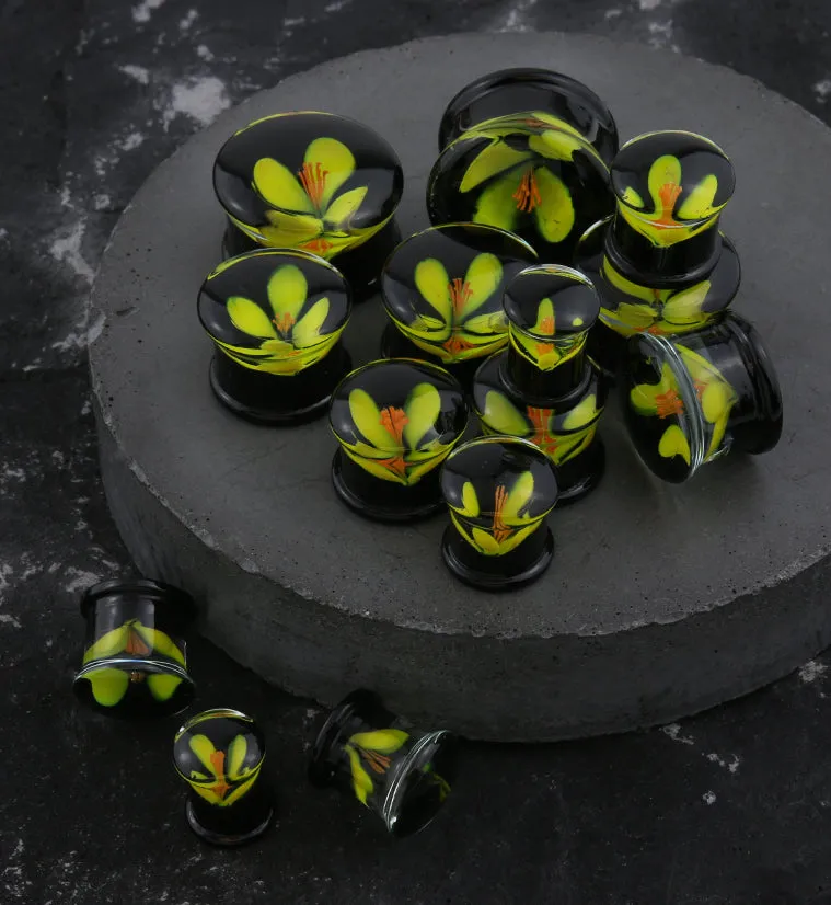 Yellow Poppy Flower Black Glass Double Flare Plugs